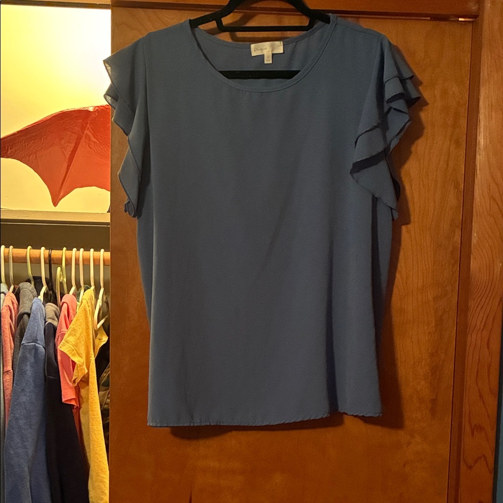 Blue Ruffle Sleeve Top